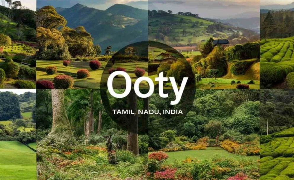 Ooty Travel Blog